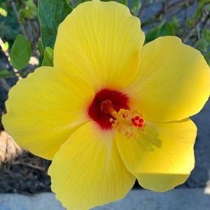 Meet your Posher, Yuko